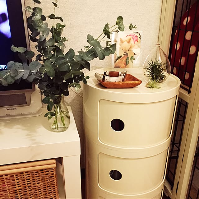 water_mashroomさんの実例写真