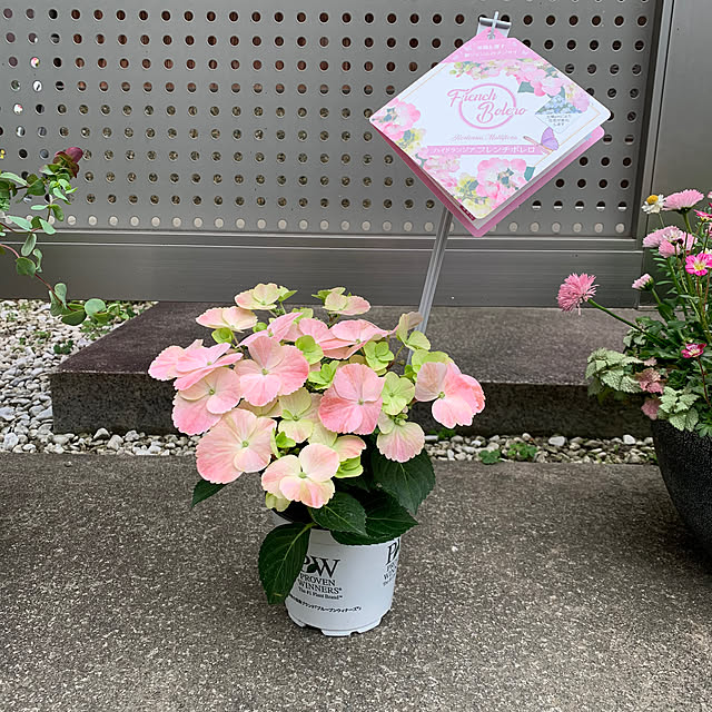 maayaさんの部屋