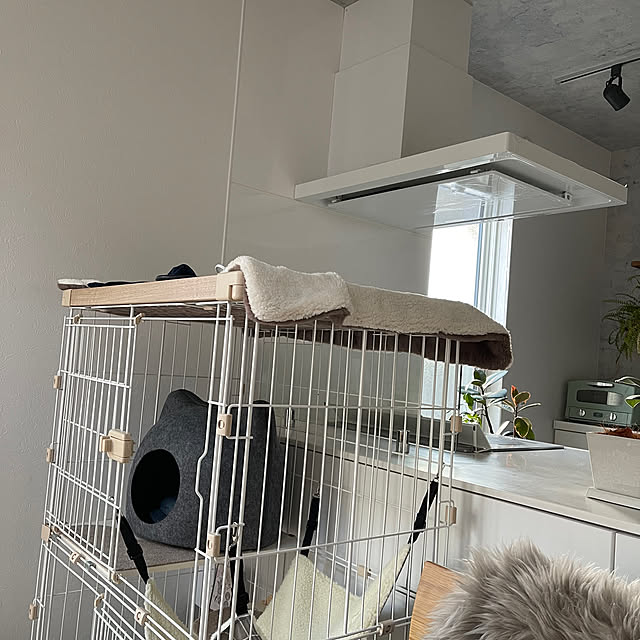 miniさんの部屋