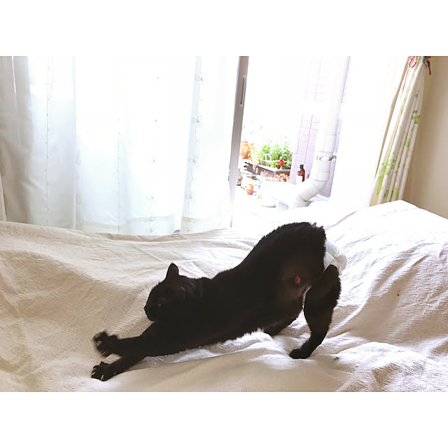 usssi0107さんの実例写真