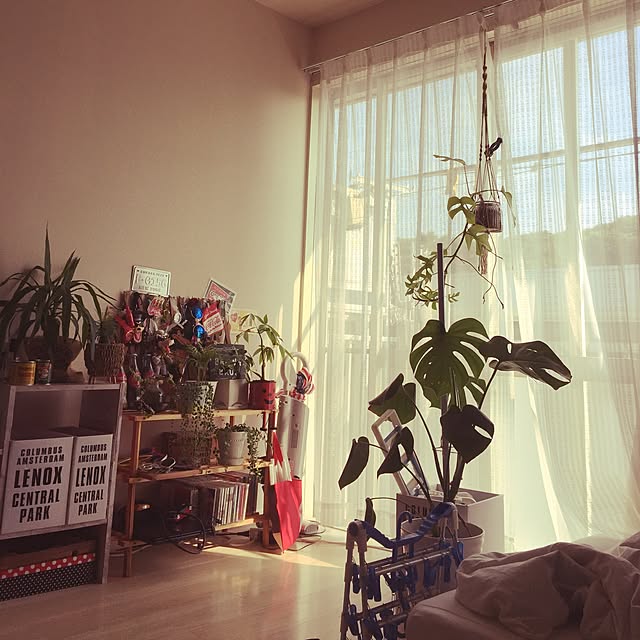 実例写真