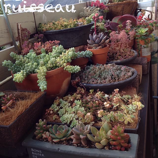 ruisseauさんの実例写真