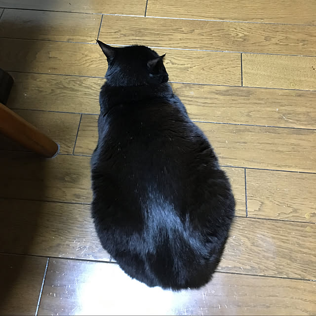 kirakirahoshiさんの実例写真