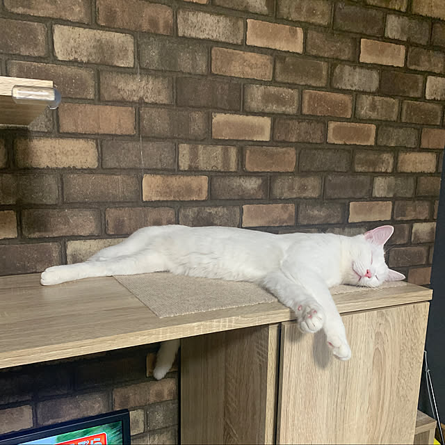 keiさんの実例写真