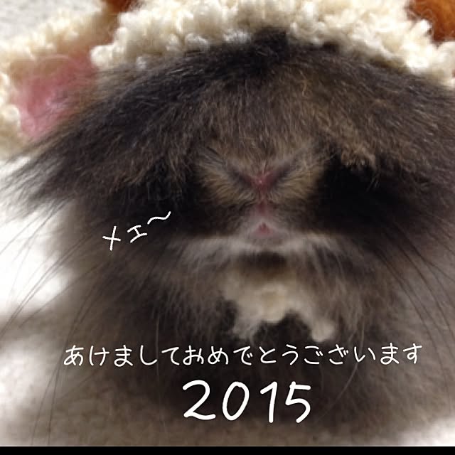8717さんの実例写真