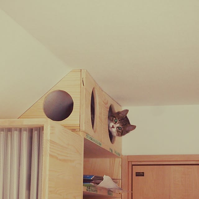 mokaさんの実例写真