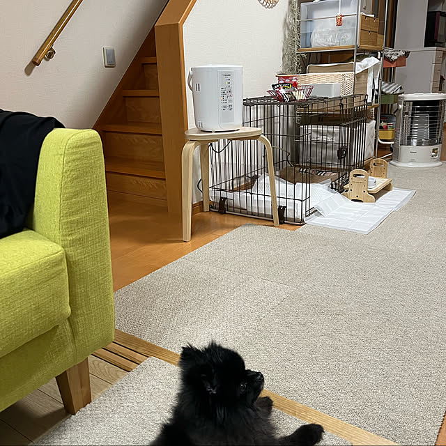 hinasakuさんの実例写真