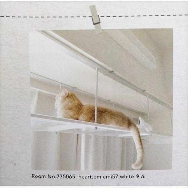 heart.emiemi57.whiteさんの実例写真