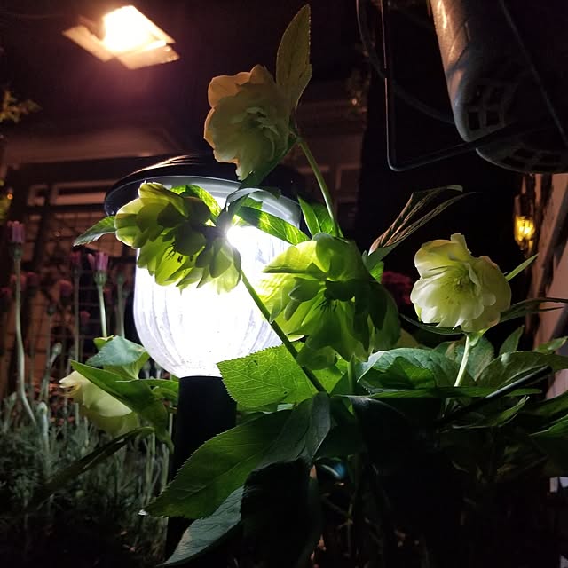 midoriさんの実例写真