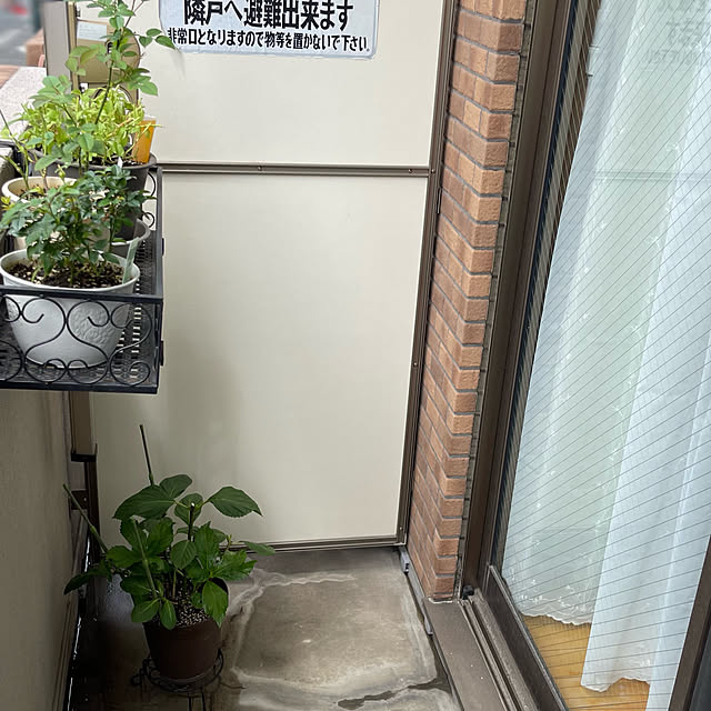 ysmさんの部屋