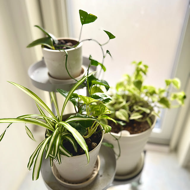 yutaさんの部屋