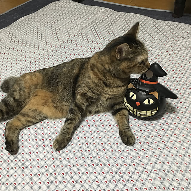 syutanさんの実例写真
