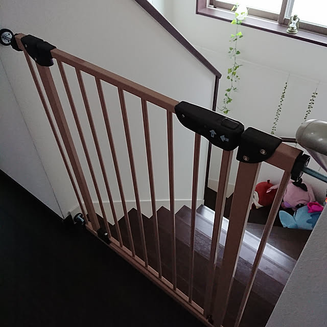totoroさんの実例写真