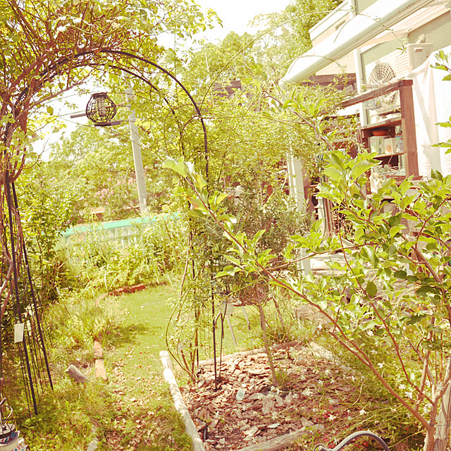coco_spring_homeさんの実例写真