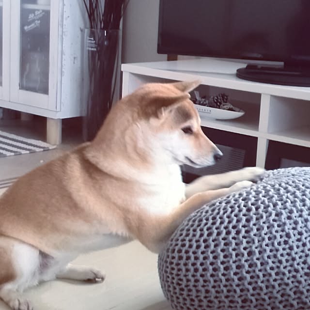 kさんの実例写真