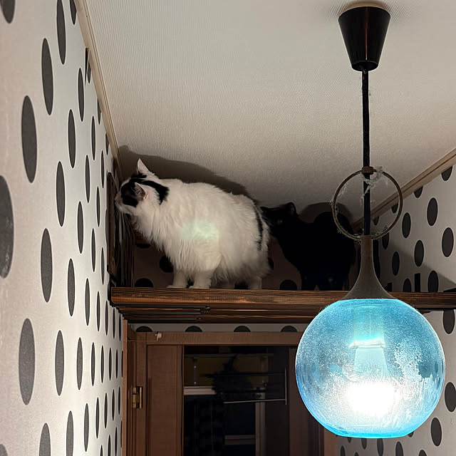 Tetsuyaさんの部屋