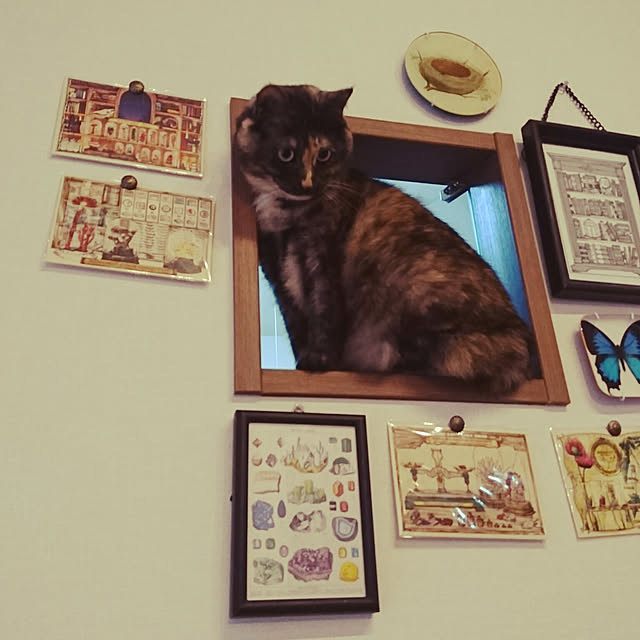 tokiさんの実例写真
