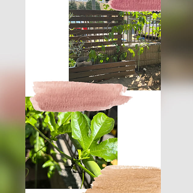botanさんの実例写真