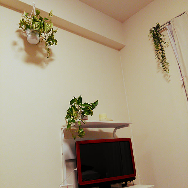 壁/天井のインテリア実例 - 2018-02-02 18:43:37