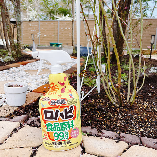 chanduさんの部屋