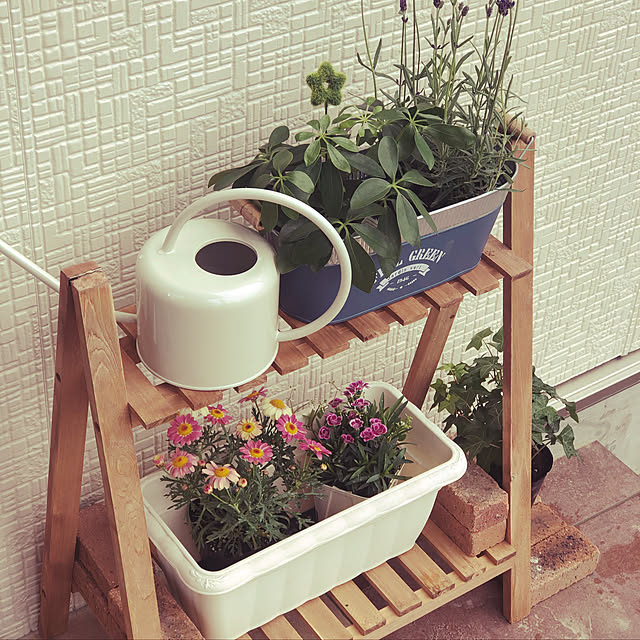 sorayumeさんの実例写真