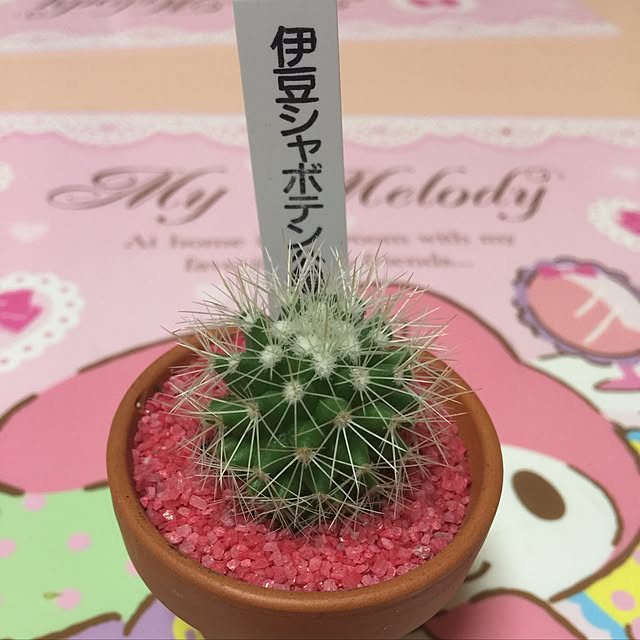 kuromiさんの実例写真