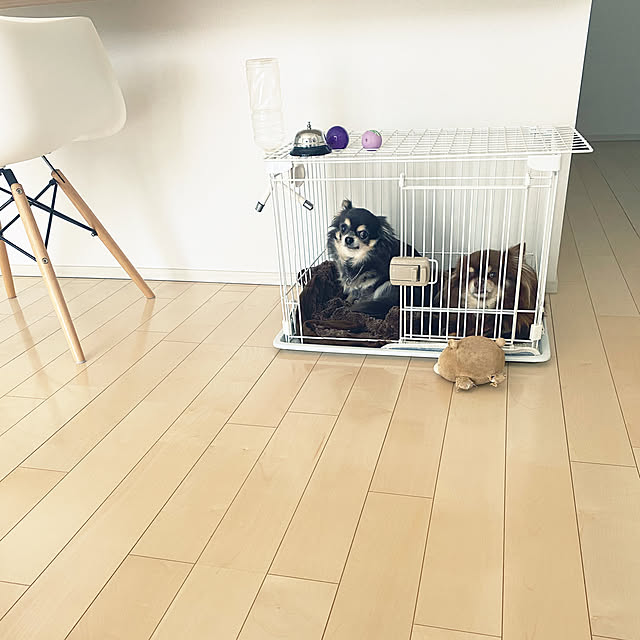 Mikiさんの実例写真