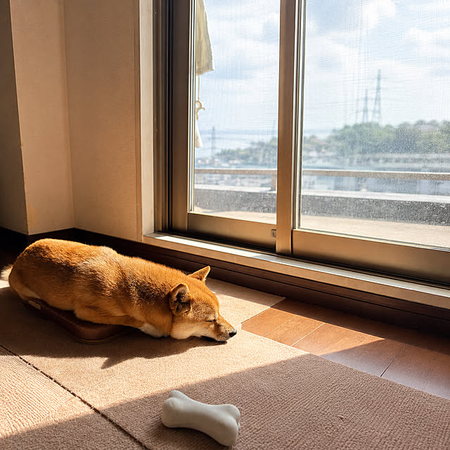 MADOshop_Asagayakitaさんの実例写真