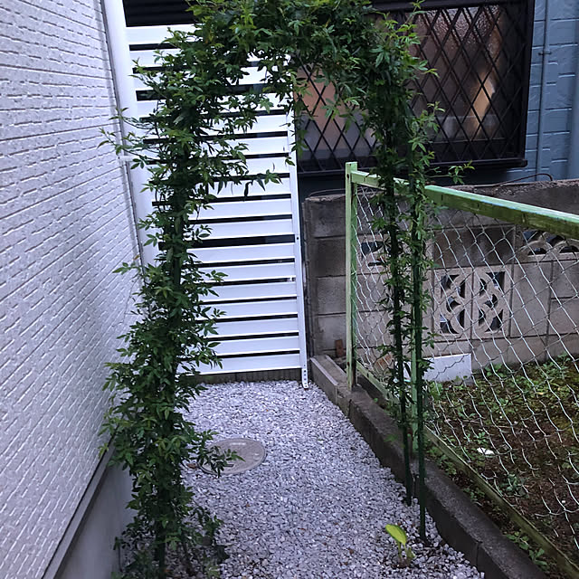 yuyuさんの部屋