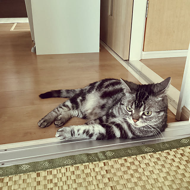richanさんの部屋