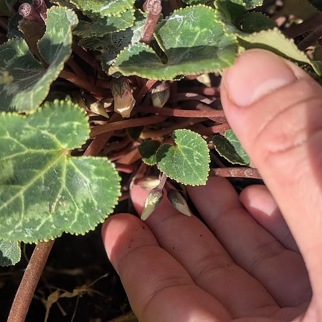 yk143さんの部屋