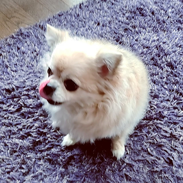 kiraさんの実例写真