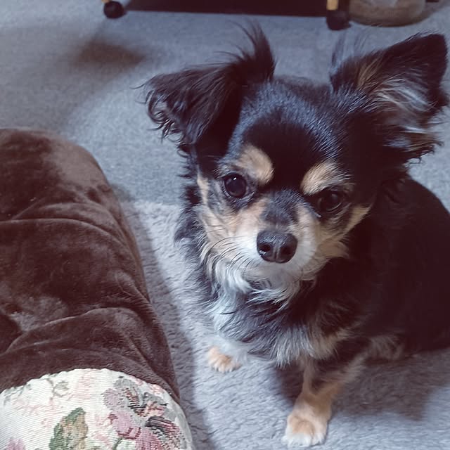 hiro.904さんの部屋