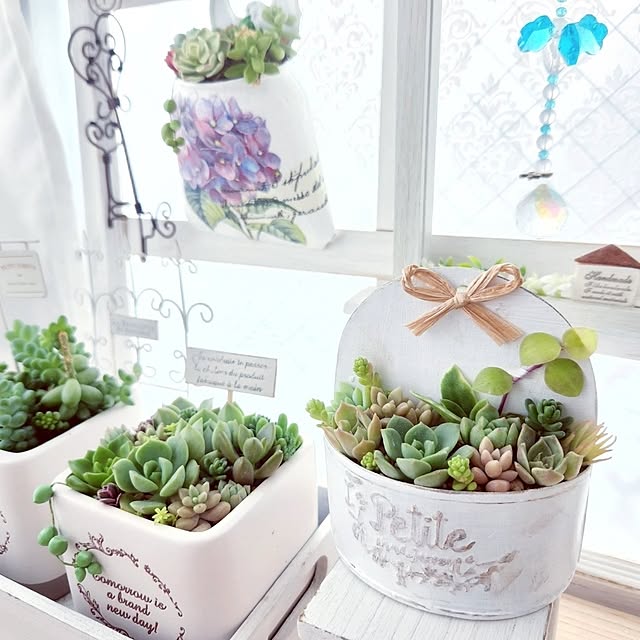 pinonさんの部屋
