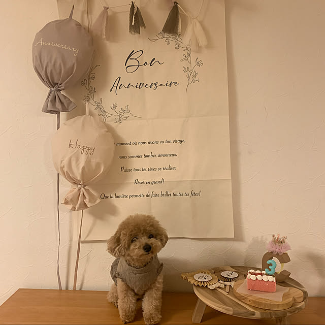 chii_saさんの実例写真