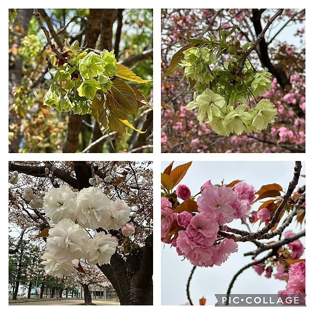 mizucchiさんの部屋