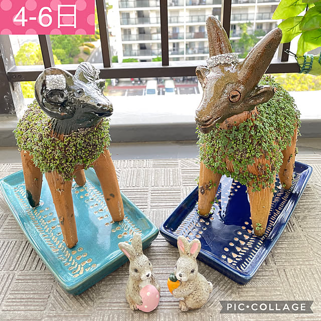 aureaさんの実例写真