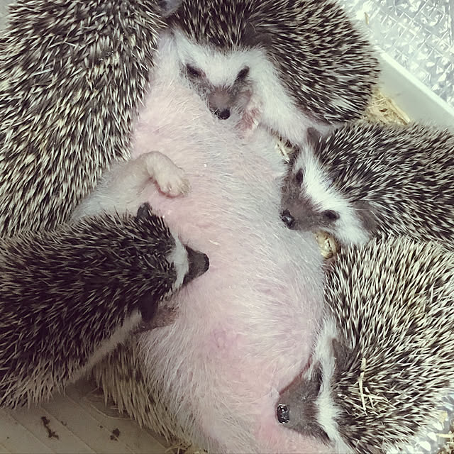 rby88さんの実例写真