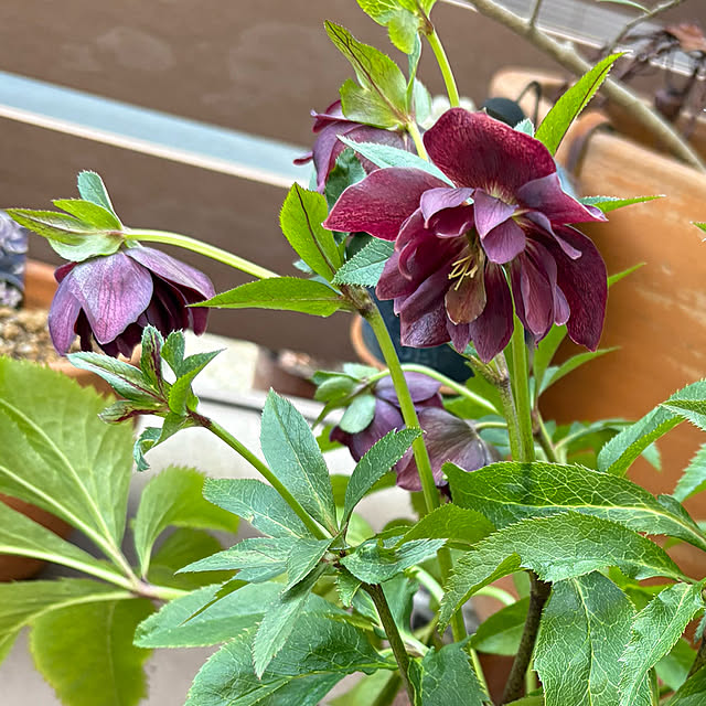 yukkoさんの部屋