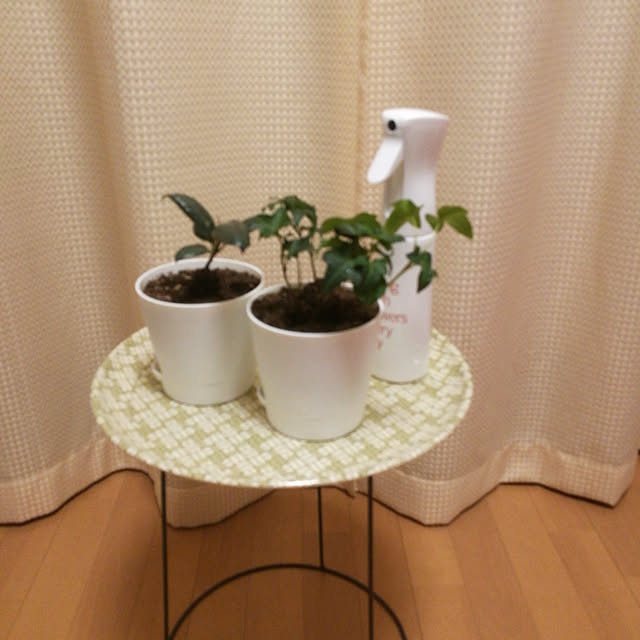 cocoさんの実例写真