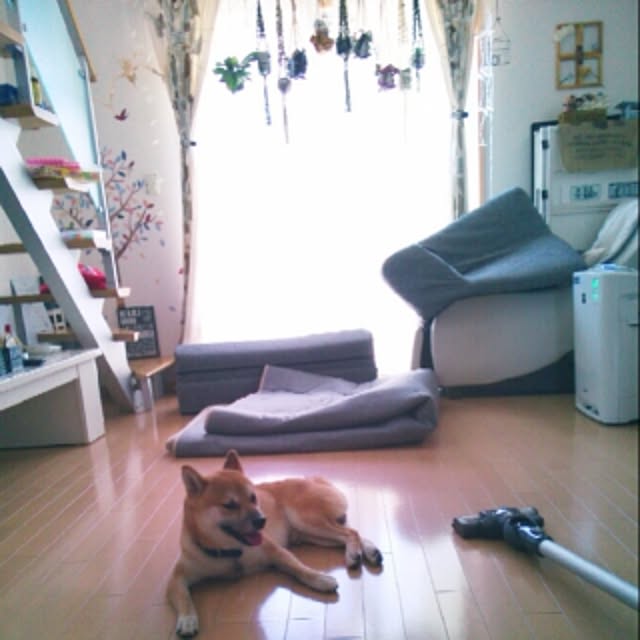 kotaさんの実例写真