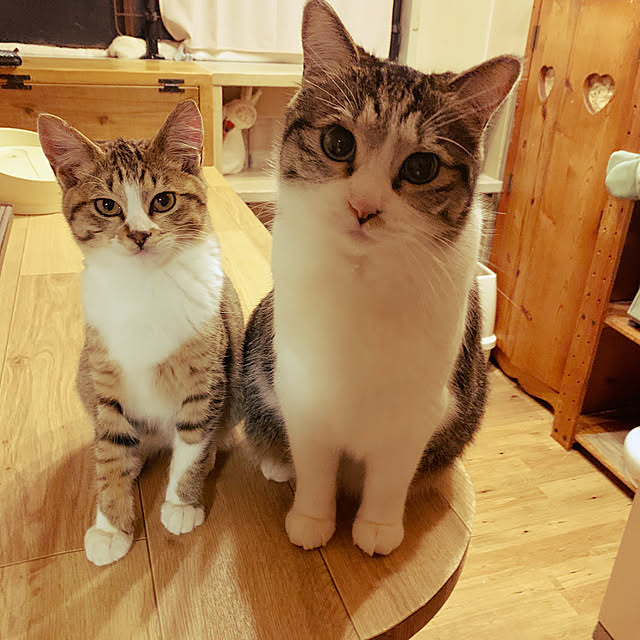 rioさんの実例写真