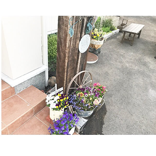 erinkoさんの実例写真