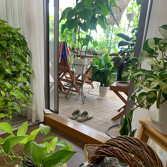 Aqettyさんの部屋
