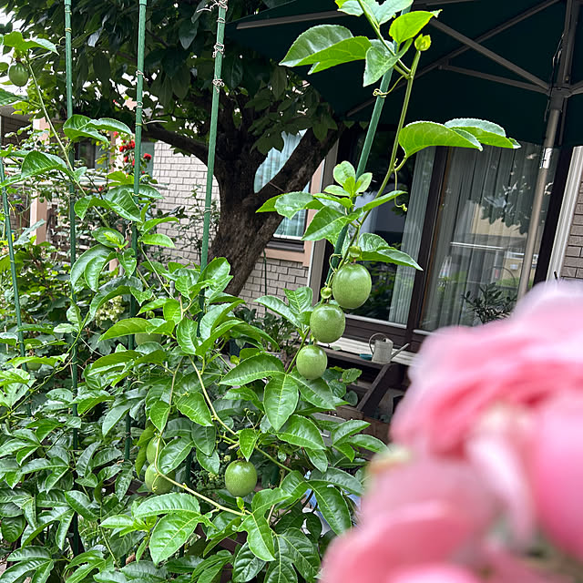 botanさんの実例写真
