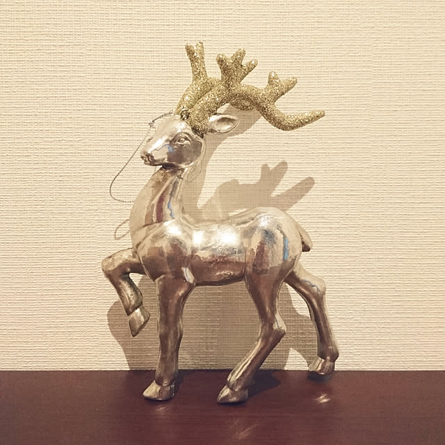saekoさんの実例写真