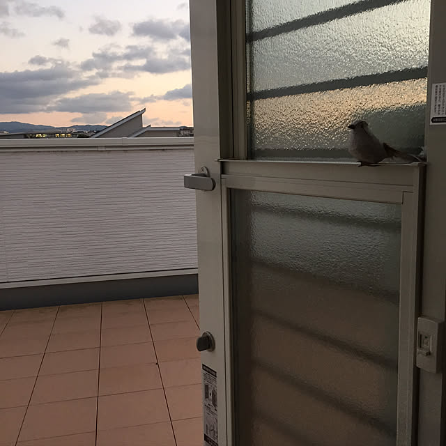 mi-4さんの実例写真