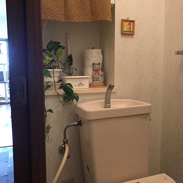 nekohagu2022さんの実例写真