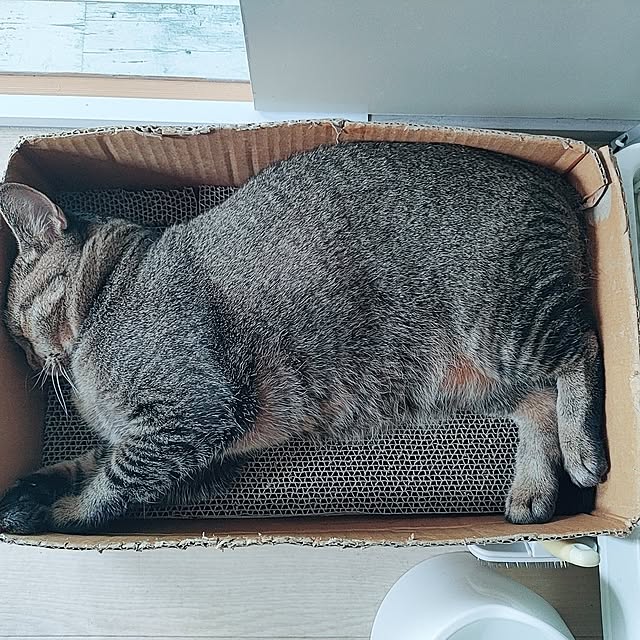cocomintさんの実例写真
