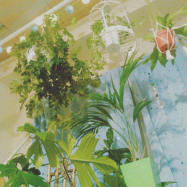 pochi3461さんの実例写真